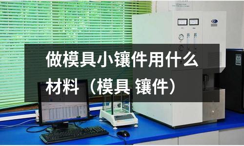 做模具小鑲件用什么材料（模具 鑲件）
