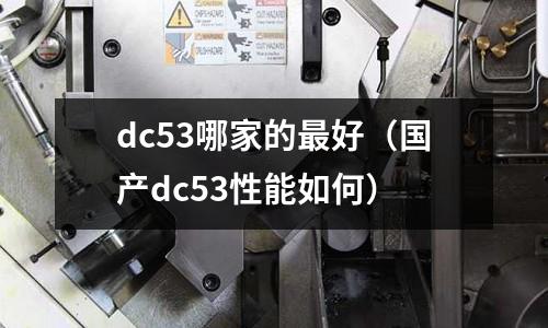 dc53哪家的最好（國產(chǎn)dc53性能如何）