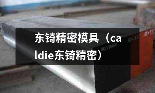 東锜精密模具(caldie東锜精密)