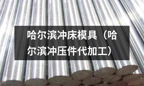 哈爾濱沖床模具（哈爾濱沖壓件代加工）