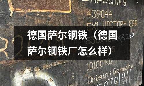 德國薩爾鋼鐵(德國薩爾鋼鐵廠怎么樣)