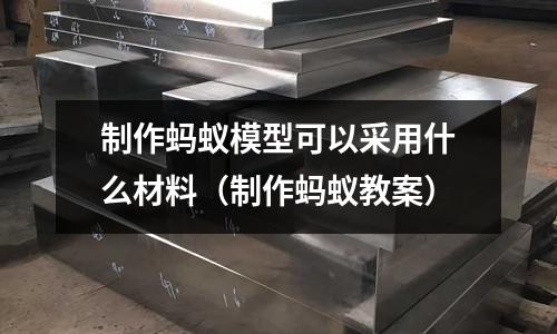 制作螞蟻模型可以采用什么材料（制作螞蟻教案）