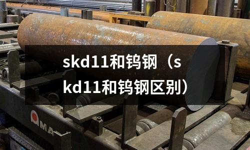skd11和鎢鋼（skd11和鎢鋼區(qū)別）