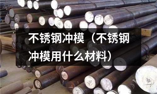 不銹鋼沖模（不銹鋼沖模用什么材料）