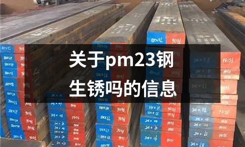 關于pm23鋼生銹嗎的信息