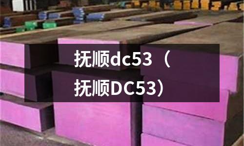 撫順dc53（撫順DC53）