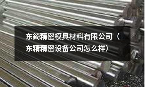 東錡精密模具材料有限公司（東精精密設(shè)備公司怎么樣）