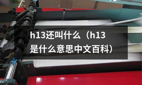 h13還叫什么（h13是什么意思中文百科）