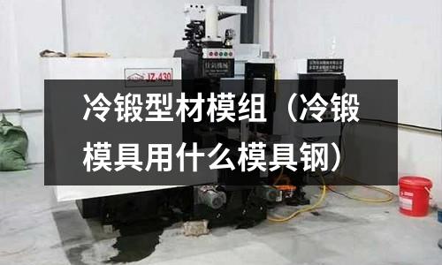 冷鍛型材模組(冷鍛模具用什么模具鋼)