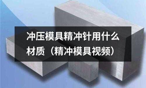 沖壓模具精沖針用什么材質（精沖模具視頻）