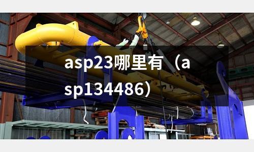 asp23哪里有（asp134486）