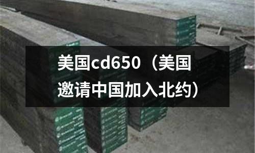 美國cd650（美國邀請中國加入北約）