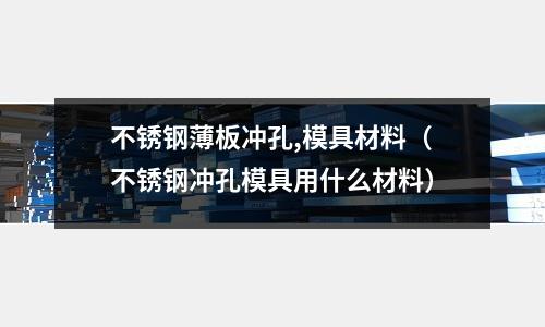 不銹鋼薄板沖孔,模具材料(不銹鋼沖孔模具用什么材料)
