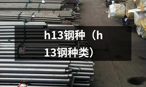 h13鋼種（h13鋼種類）