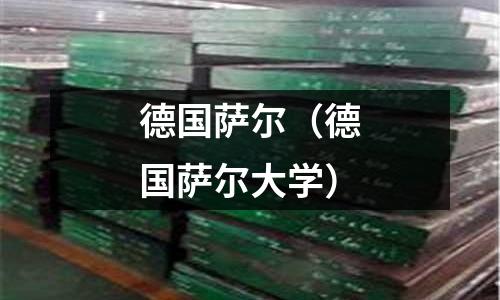 德國薩爾(德國薩爾大學)