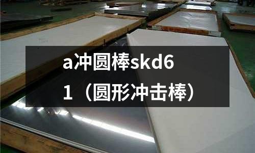 a沖圓棒skd61(圓形沖擊棒)