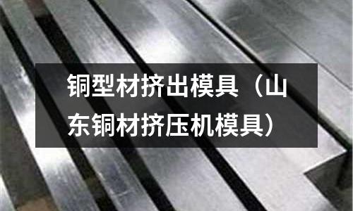 銅型材擠出模具（山東銅材擠壓機模具）