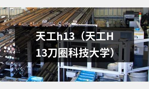 天工h13(天工H13刀圈科技大學)