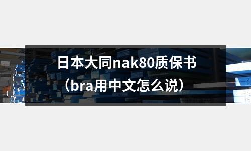 日本大同nak80質(zhì)保書（bra用中文怎么說）