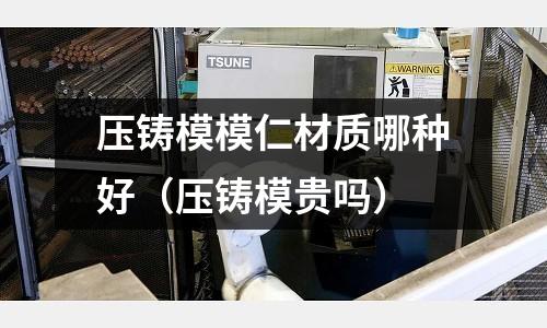 壓鑄模模仁材質(zhì)哪種好（壓鑄模貴嗎）