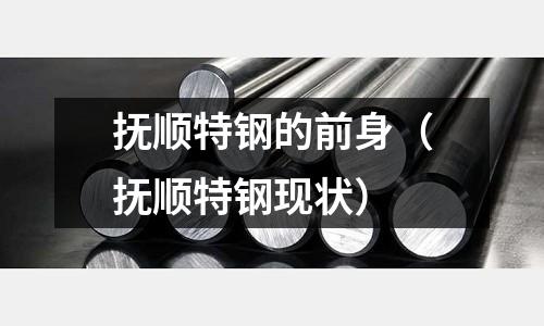 撫順特鋼的前身(撫順特鋼現狀)