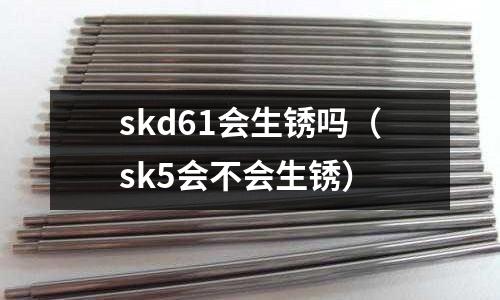 skd61會生銹嗎(sk5會不會生銹)