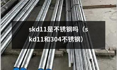 skd11是不銹鋼嗎（skd11和304不銹鋼）