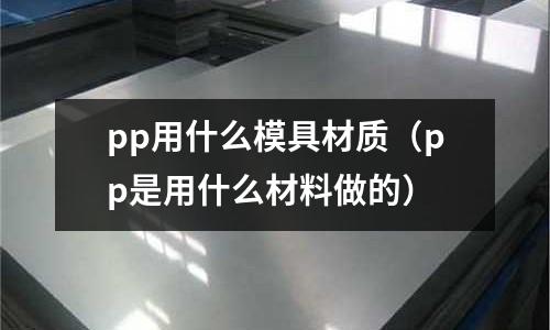 pp用什么模具材質(zhì)（pp是用什么材料做的）