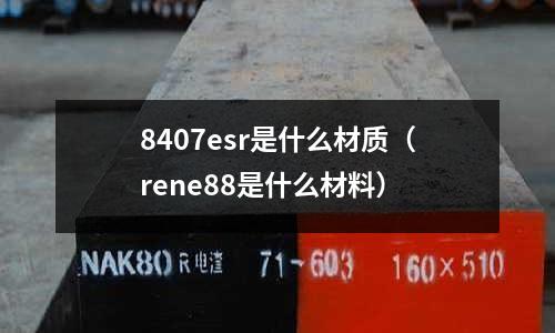 8407esr是什么材質（rene88是什么材料）