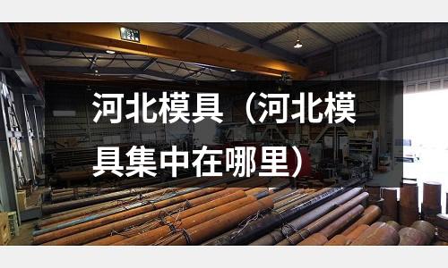 河北模具（河北模具集中在哪里）