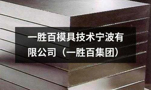 一勝百模具技術寧波有限公司（一勝百集團）