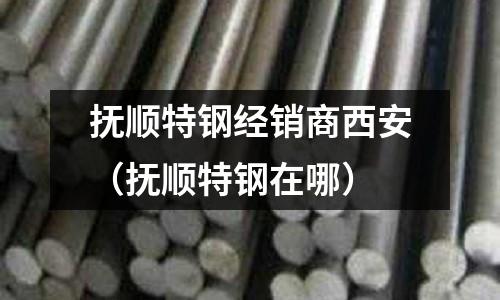 撫順特鋼經銷商西安（撫順特鋼在哪）