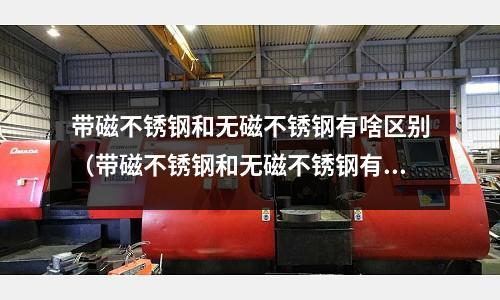 帶磁不銹鋼和無磁不銹鋼有啥區別（帶磁不銹鋼和無磁不銹鋼有啥區別呢）