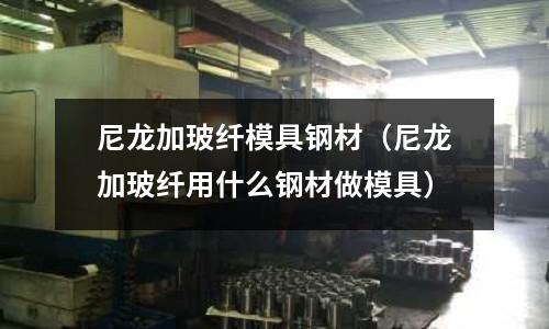 尼龍加玻纖模具鋼材（尼龍加玻纖用什么鋼材做模具）