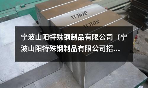 寧波山陽特殊鋼制品有限公司(寧波山陽特殊鋼制品有限公司招聘)