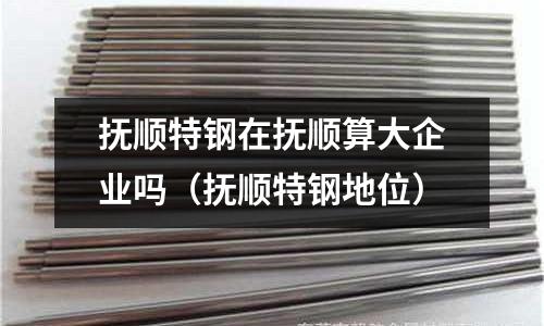 撫順特鋼在撫順算大企業嗎（撫順特鋼地位）