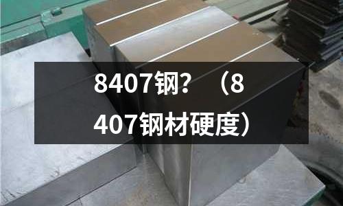 8407鋼？（8407鋼材硬度）