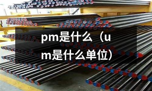 pm是什么（um是什么單位）