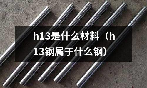 h13是什么材料(h13鋼屬于什么鋼)