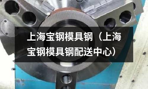 上海寶鋼模具鋼(上海寶鋼模具鋼配送中心)