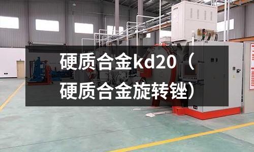硬質合金kd20(硬質合金旋轉銼)