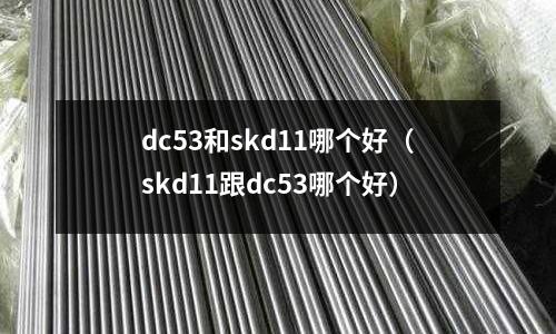 dc53和skd11哪個(gè)好（skd11跟dc53哪個(gè)好）