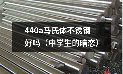 440a馬氏體不銹鋼好嗎（中學(xué)生的暗戀）