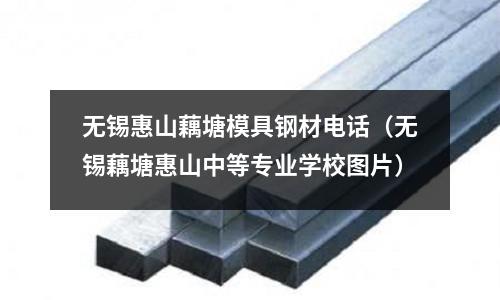 無錫惠山藕塘模具鋼材電話（無錫藕塘惠山中等專業學校圖片）