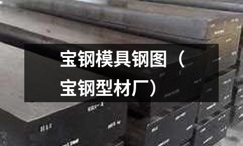 寶鋼模具鋼圖（寶鋼型材廠）