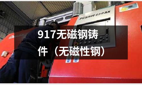 917無磁鋼鑄件(無磁性鋼)