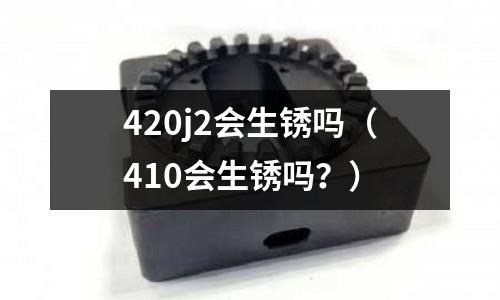 420j2會生銹嗎（410會生銹嗎？）