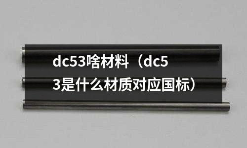 dc53啥材料（dc53是什么材質對應國標）