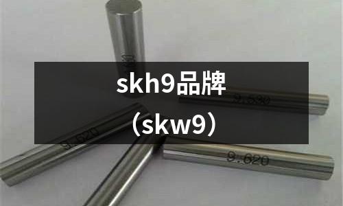 skh9品牌（skw9）