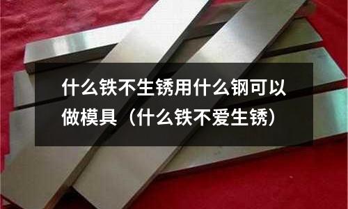 什么鐵不生銹用什么鋼可以做模具（什么鐵不愛生銹）